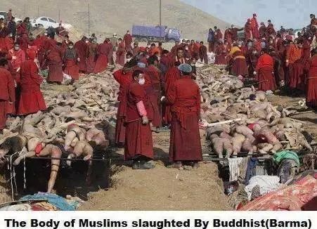 联合国称缅甸正对境内穆斯林种族屠杀