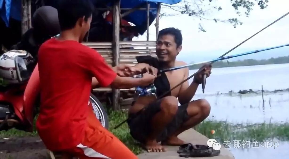 农村小伙子用树枝钓鱼，战胜了几千块的鱼竿