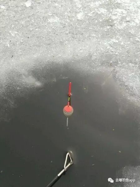 今年最后一次冰钓，这鱼获实在不咋地