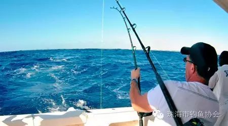 钓瘾：小心海钓会遇到的七种危险鱼类