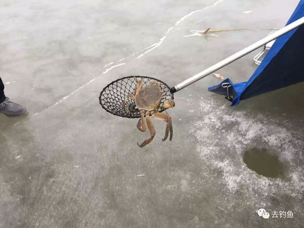 “钓蟹”他们是认真的！
