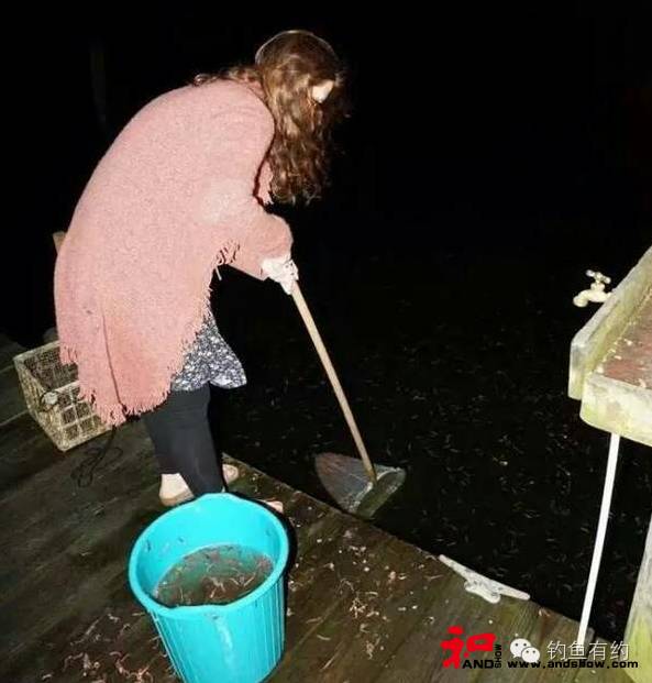 女子夜间捕鱼，湖面发现的情况，瞬间被吓傻。