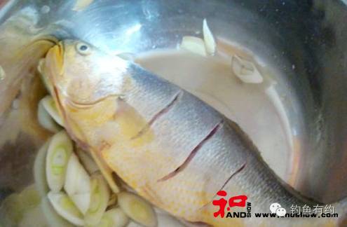 小心：常见鱼种的食用益处及忌口