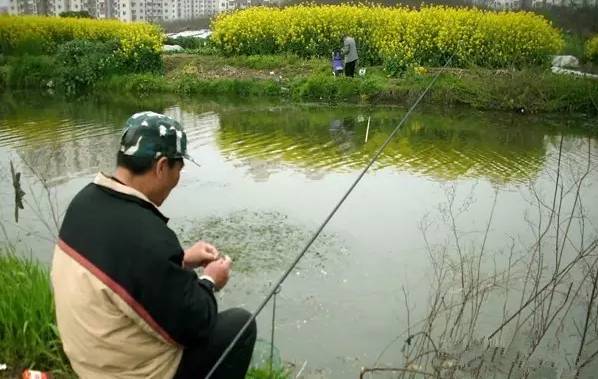 【钓鱼技巧】在人工养鱼塘该如何钓鱼