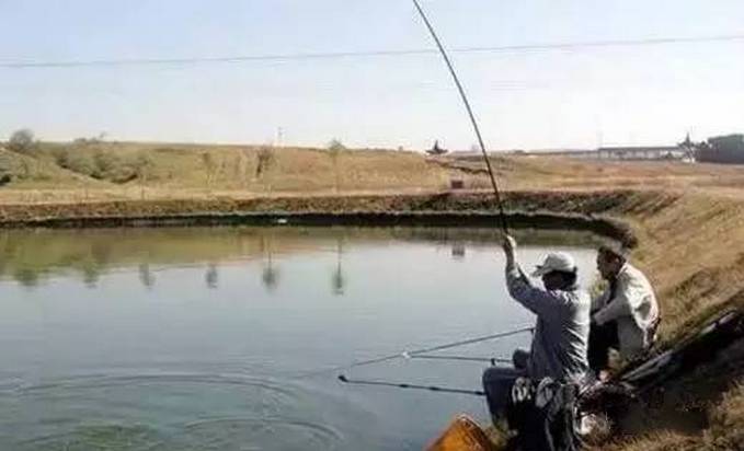 【钓鱼技巧】春季钓鱼选位的应对技巧