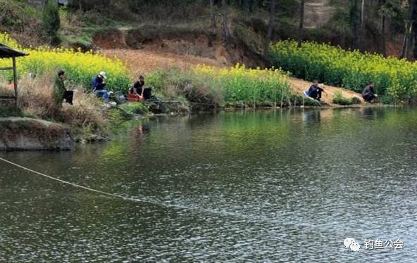 春季钓鱼的五个技巧分享