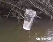 竹竿吊着塑料杯，这么钓鱼够新鲜 ，还不用买钩！