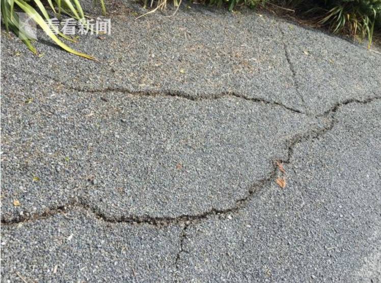 【亲历】中国记者夫妻蜜月撞上新西兰大地震：与世隔绝的体验太恐怖了！