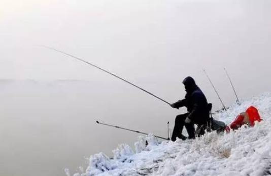冬季钓鱼时应该按照鱼的习性来打窝子
