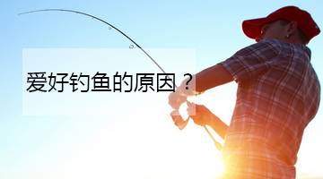 爱好钓鱼的原因是什么？这些回答总有一条能看到你的身影……