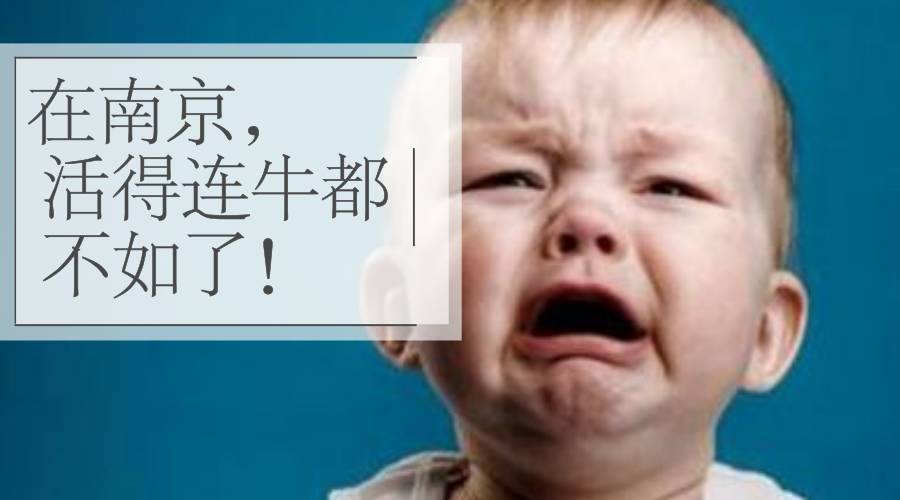 哭晕！在南京，我们竟然活的还不如牛！！