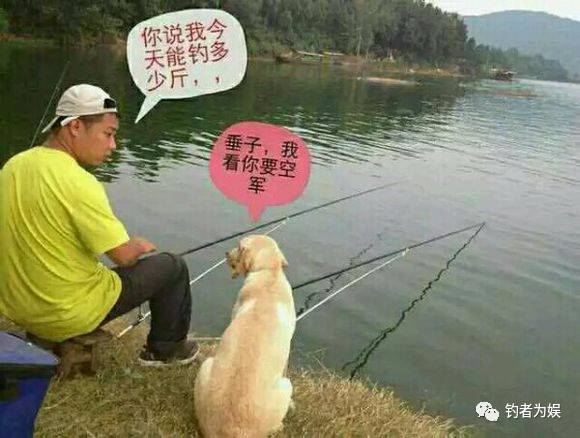 【钓鱼技巧】杂谈钓鱼