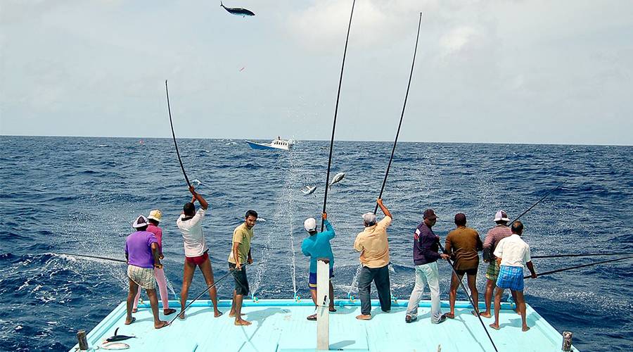 还在愁国庆去哪？第二届马尔代夫国际渔人节来啦！