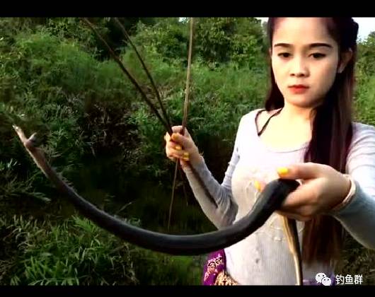 【视频】小妹胆子真大，拿着鱼竿不钓鱼反而钓水蛇