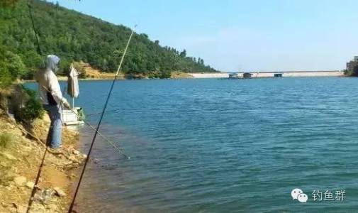 从夏季钓鱼水情中，寻找垂钓上鱼的规律！