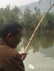 竹竿也能钓鲟鱼，真是大师！！！