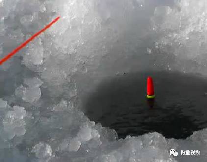冰钓调漂有窍门，调好了漂才能钓到更多的鱼