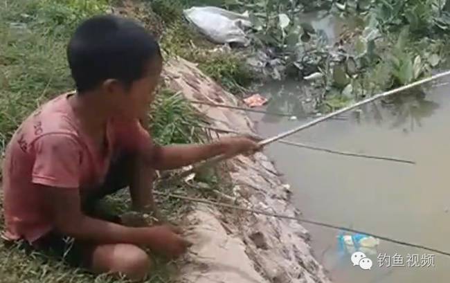 未来的钓鱼大师 小男孩一个人用四根鱼竿钓鱼