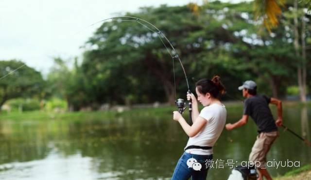 中国龍鲤鱼竿测评名单出炉及团购竿子型号和参数