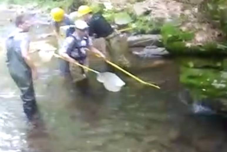 【视频】小水潭钓鱼，来了四个电鱼人