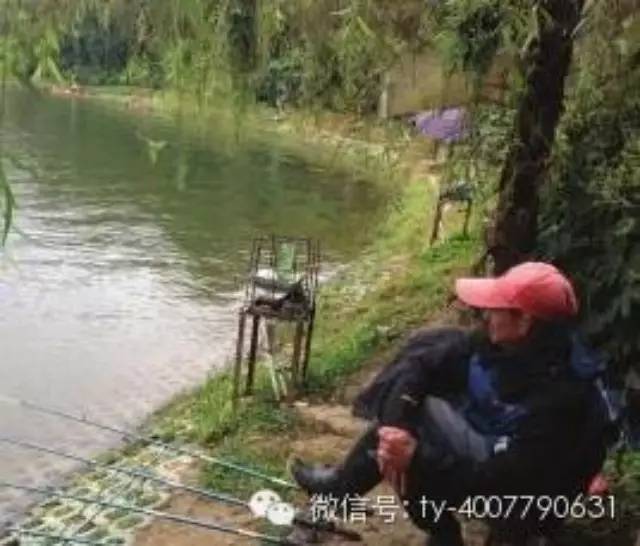 安顺虹山湖畔老伯钓鱼放生 钓鱼不吃鱼只为娱