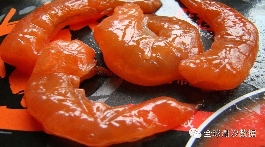 海钓常用的虾仁钓饵腌制方法