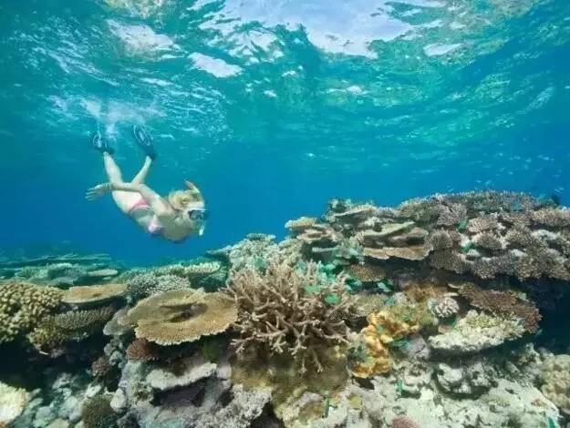 又拿第一！2016-17年度最佳旅游胜地Top 10曝光，大堡礁碾压对手称雄