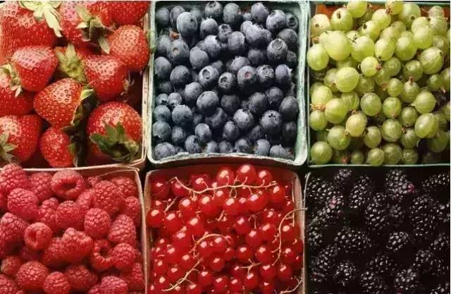 又到澳洲摘新鲜水果的好时节啦！樱桃，草莓，蓝莓，桃子，桑椹等等任你选