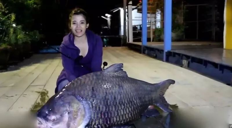 【视频】看呆了，夜钓美女Vs巨鱼！