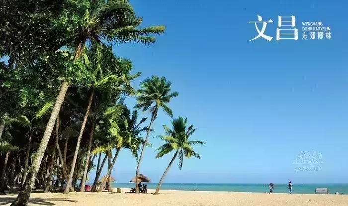 【海南】天涯户外带你游走不一样的海南岛，休闲度假之旅