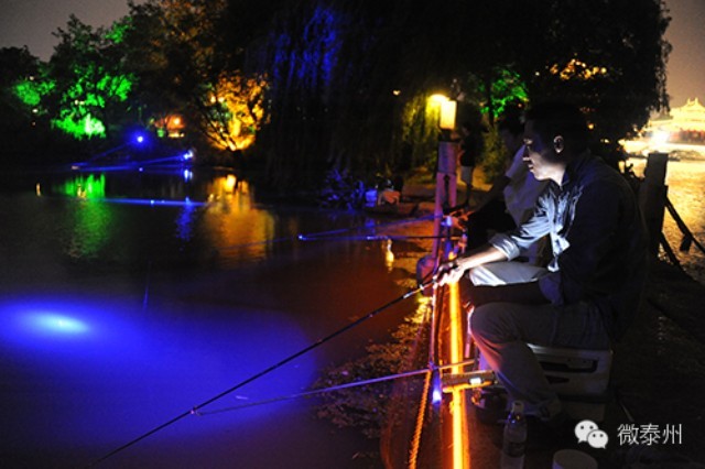 【趣玩】 夜钓：凤城河里的“星星点灯”