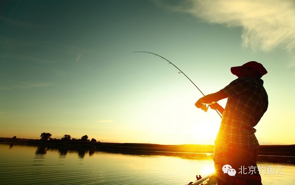 [渔获]懂得钓鱼乐趣的人，才懂得生活！