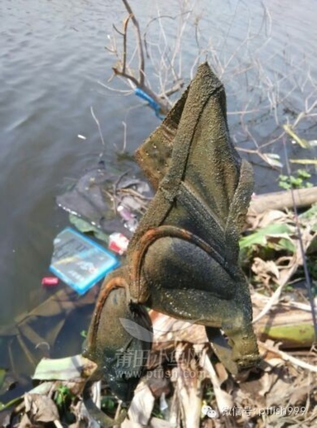 [亲历] 河底垃圾太多啦,钓鱼竟然钓到了一个胸罩