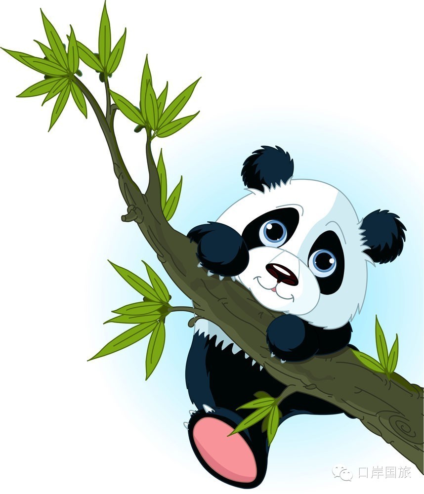 【熊猫星人入侵放鸡岛】熊猫大巡游，快来“登岛寻国宝”!