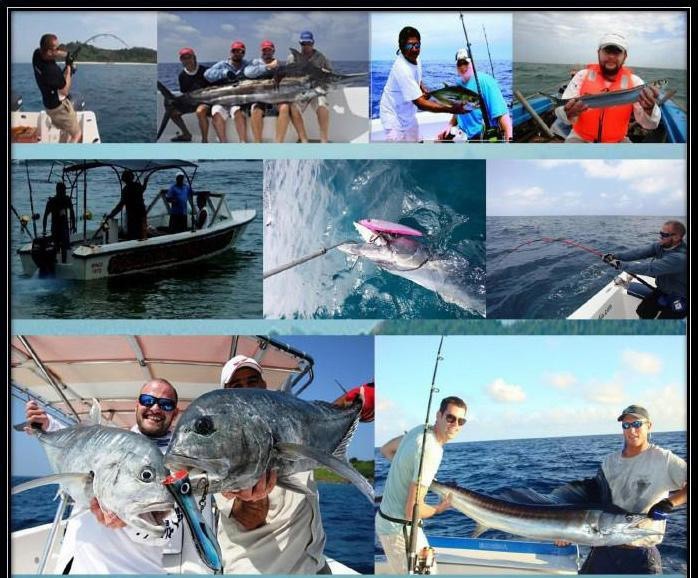 图文详解斯里兰卡深海钓鱼，领略各种海鱼-巨型鯵鱼，金枪鱼，梭子鱼等深海鱼种。