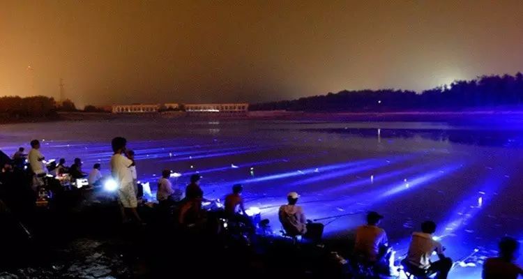 【分享】晚上钓鱼为什么灯光都是蓝光？浅析不同种类钓鱼灯的照漂效果