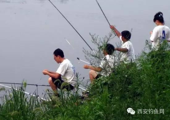 夏季户外好休闲 玩转西安周边钓鱼好去处