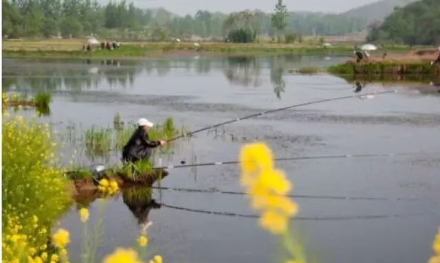 【钓鱼技巧】春季钓鱼要跟着水温走