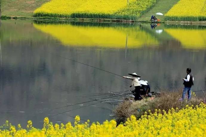 【钓鱼知识】整个春天都是钓鱼的黄金季节吗？