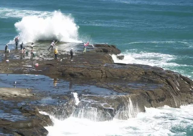 【猫本事件】一名中国老人在悉尼岩垂钓时被海浪卷走 未穿救生衣导致遇难！