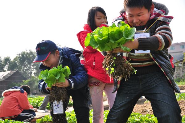【儿童节】北京六一端午京郊特色农场亲子游，带孩子深度农家体验