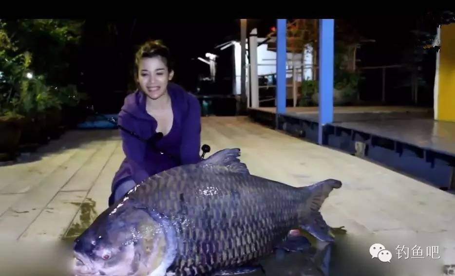 【视频】泰国美女夜钓庞然大物！