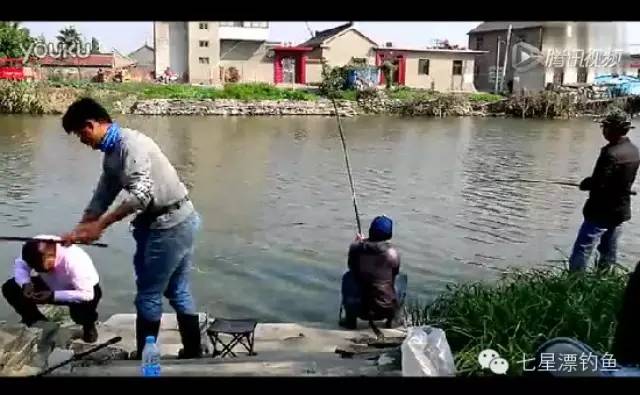 【钓鱼视频】钓上小青鱼，玩得也算漂亮
