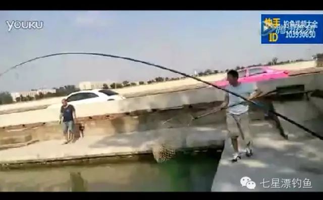 【钓鱼视频】牛人用好竿快速钓起一条大鲟鱼（6）