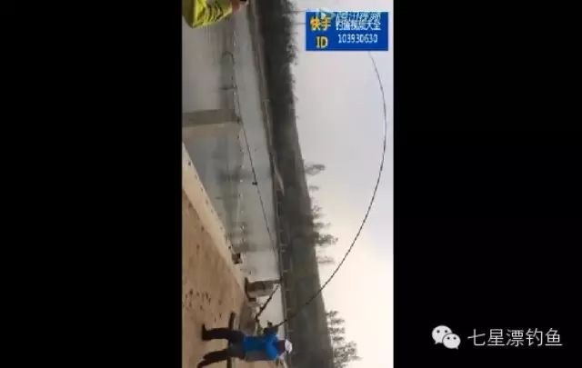 【钓鱼视频】牛人用好竿快速钓起一条大鲟鱼（10）