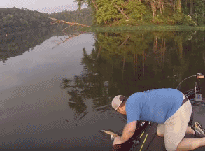 【钓鱼视频】河中央钓鱼 ，想想也是够了！钓鱼时儿子失足落水 老爸死盯鱼漂没察觉