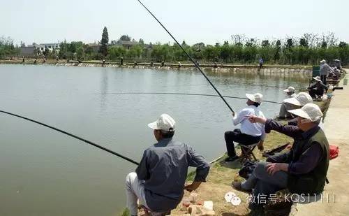 【钓问】钓鱼中常见的问题，练熟了你也是高手