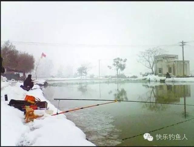 冬季钓鱼不开口的应对技巧