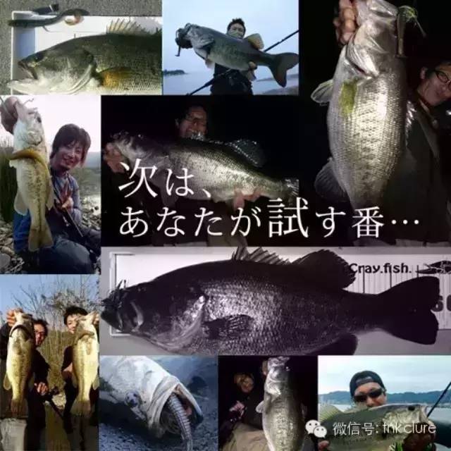 渔旅　の　赤松健“三顾岐阜”