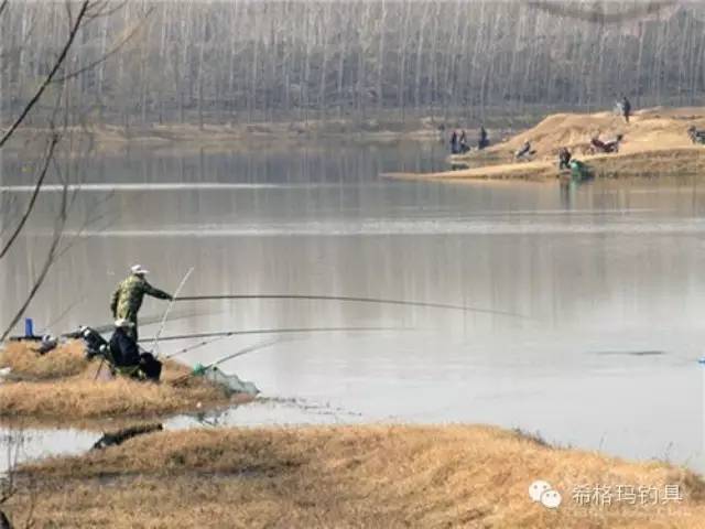 【希格玛钓具&钓鱼技巧】冬季在池塘里钓鱼的四个关键技巧